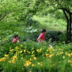 BERN, 12JUN16 - Warmlaufen im Park. Bern im Lauffieber: Ueber 16'000 laufbegeisterte Frauen treten in den verschiedenen Kategorien zu den Rennen in und um die Berner Altstadt an. Impression vom 30. Schweizer Frauenlauf in Bern am 12. Juni 2016.Impression of the 30th Swiss Women's Run in Bern, Switzerland, June 12, 2016. With more than 16,000 participants, the Swiss Women's Run is the largest women's sports event in Switzerland.swiss-image.ch/Photo Michael Buholzer